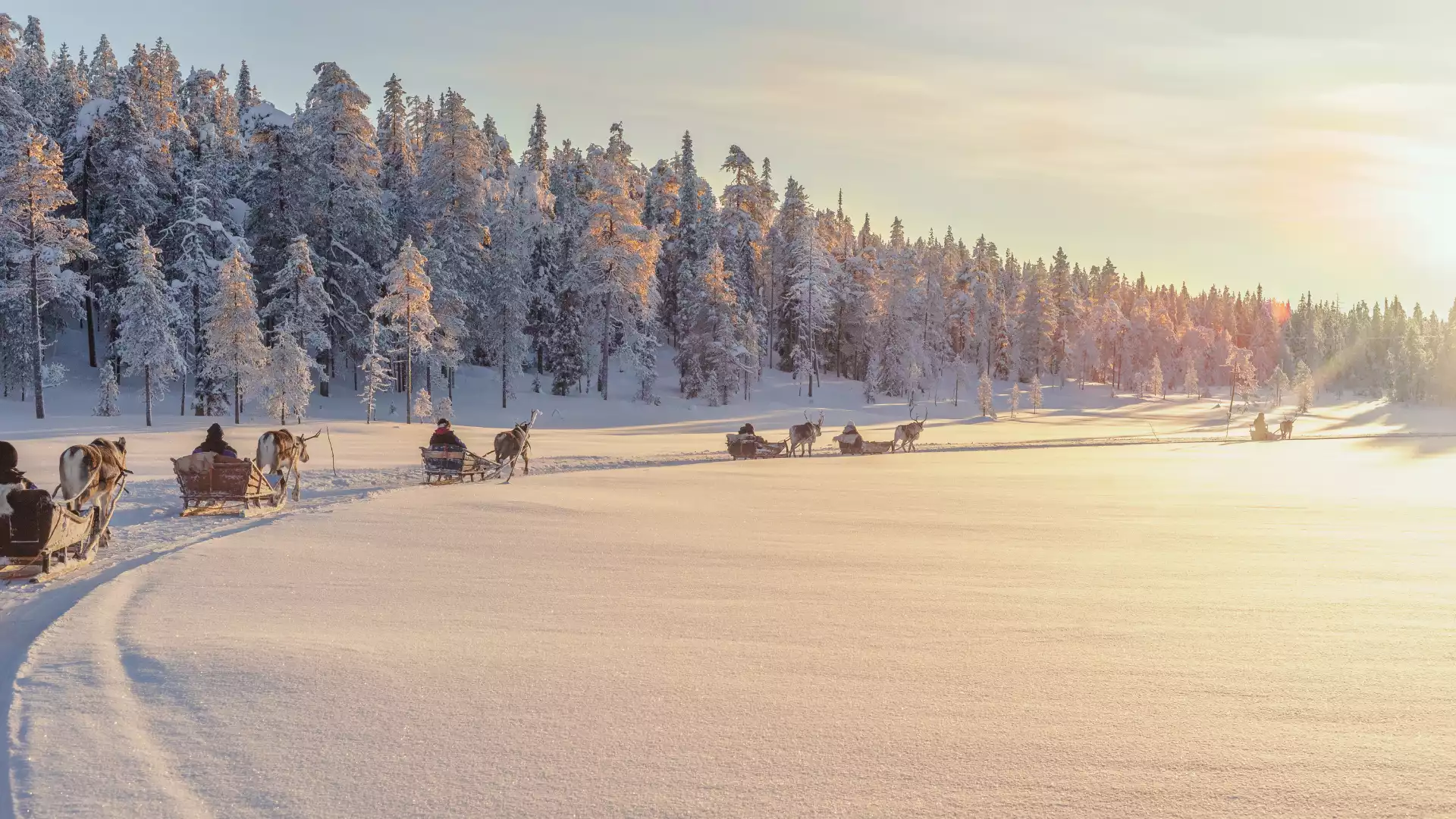 Huskysafari