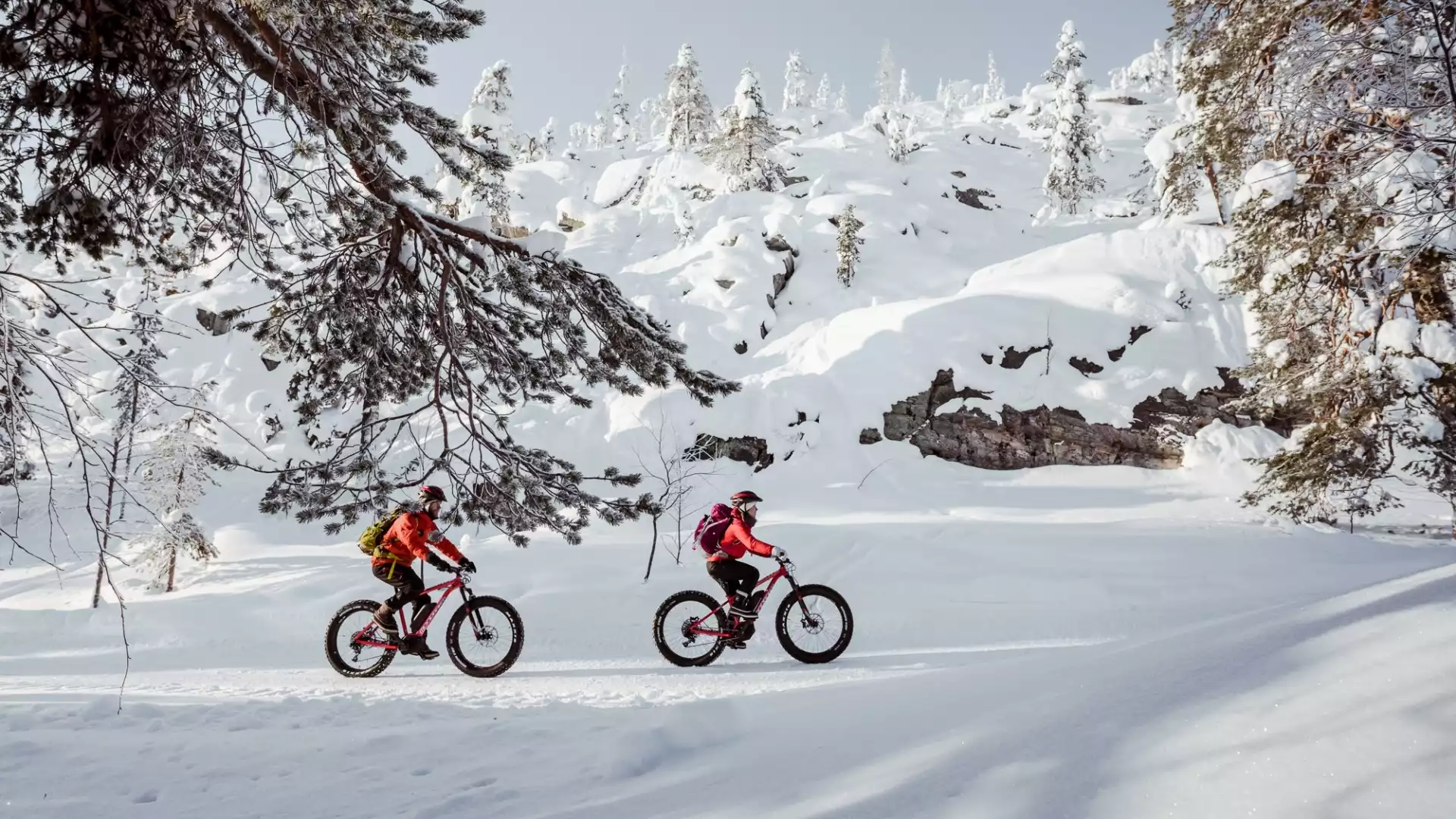 Afscheid van Lapland