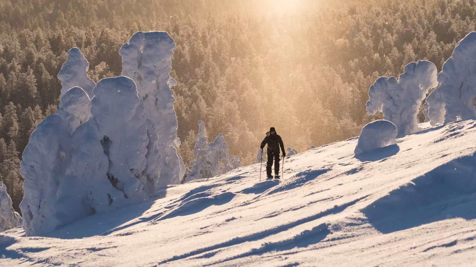 Sneeuwschoenwandelen door het winterlandschap