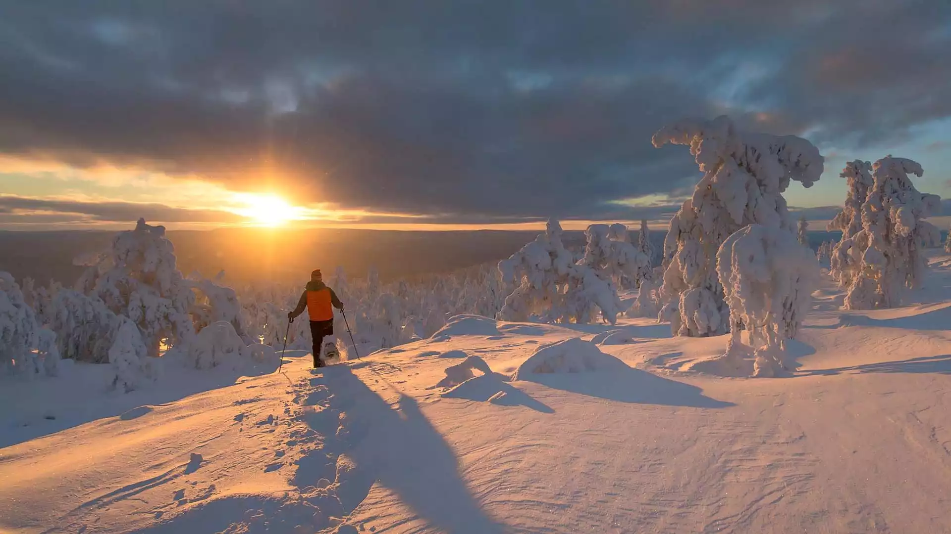 Welkom in Lapland!