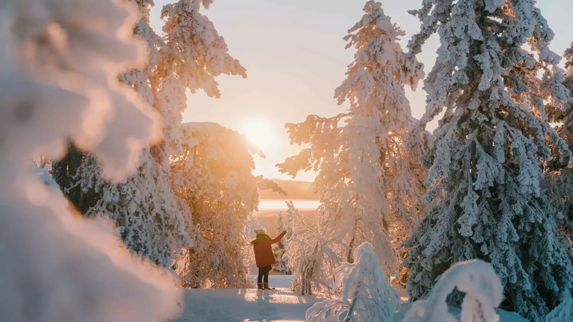 Welkom in Lapland!