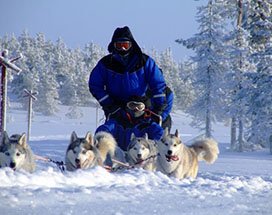akaslompolo-go-green-16km-husky