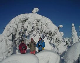 akaslompolo-sneeuwschoenwandelen-heuvel