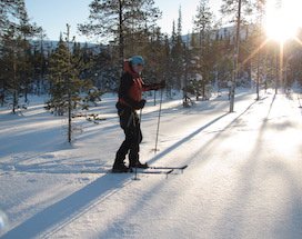 rovaniemi-altai-langlauftocht