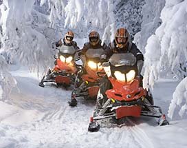 rovaniemi-sneeuwscootertocht-wildernis