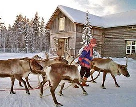 saariselka-sneeuwscootersafari-rendierboerderij