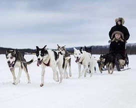 kiruna-huskytocht-elanden-farmbezoek