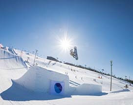 levi-skipas-1dag