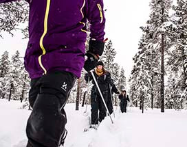 jukkasjarvi-cross-country-skien