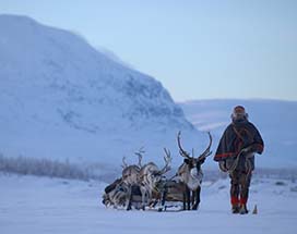 abisko-excursie-sami-wereld