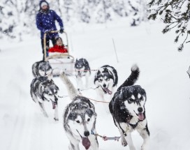 3-in-1-voordeelpakket-ruka-excursie