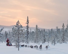 bjorkliden-bestuur-eigen-huskyteam