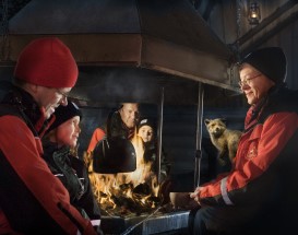 lapse-avond-met-diner-arctic-circle