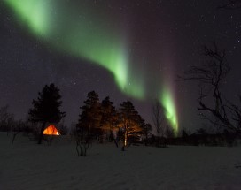 lycksele-huskysafari-overnachting