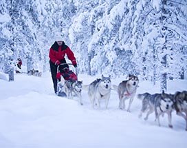 rovaniemi-3-in-1