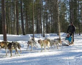 luosto-op-avontuur-met-de-huskys