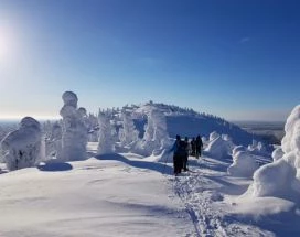 thumb-excursie-sneeuwschoenwandeling-naar-valtavaara