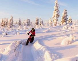 thumb-excursie-fatbike-fell-centre