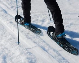 thumb-excursie-sneeuwschoenwandeling-fell-centre