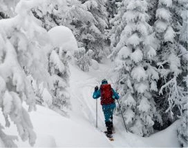 thumb-excursie-sneeuwschoenwandeling2-fell-centre
