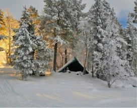 thumb-excursie-ski-fell-centre