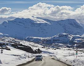 abisko-fjordentrip-narvik