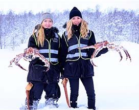 saariselka-king-crab