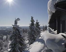 iso-syote-overnachten-bear-cave-suite