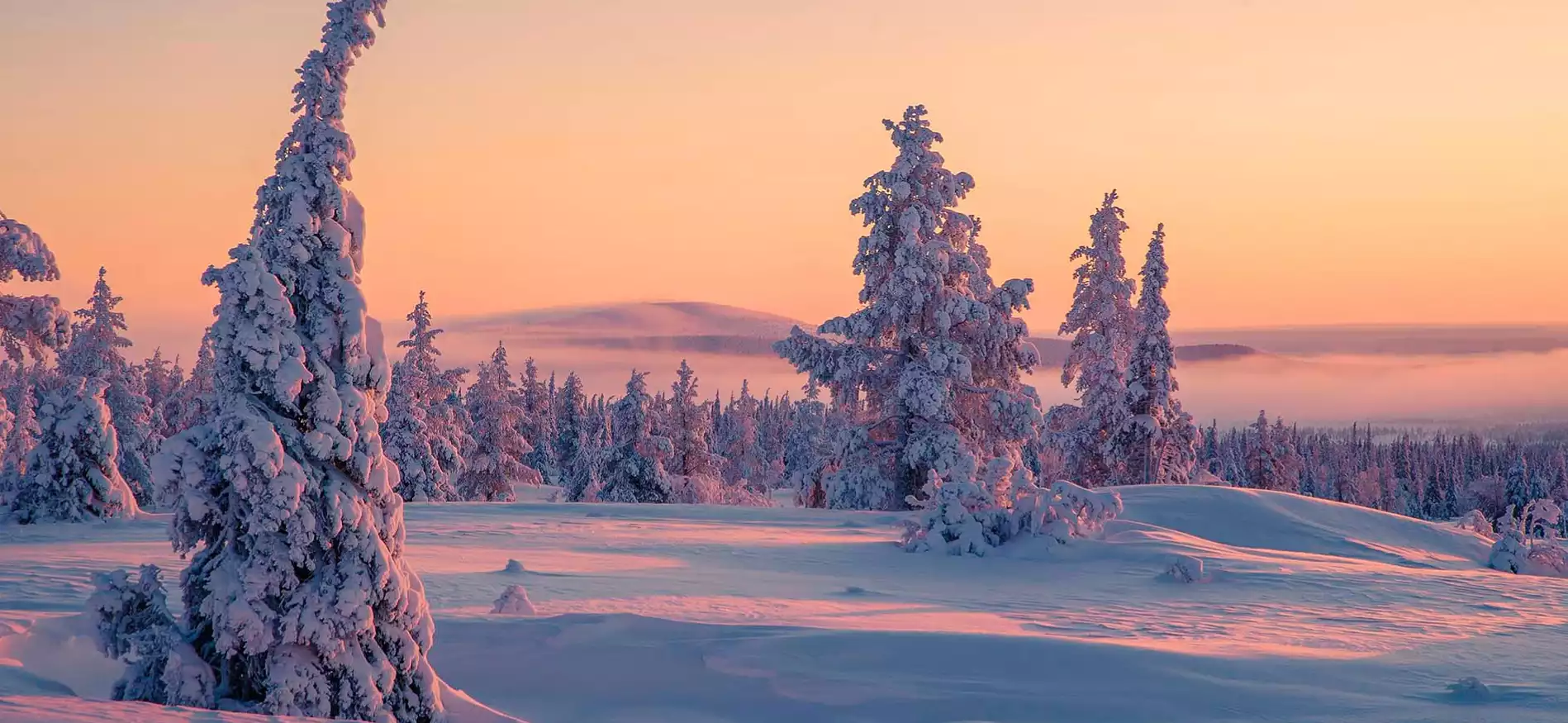 Midweek Ruka Chalets