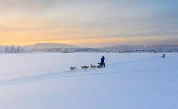 Weekend sneeuwavontuur Muotka