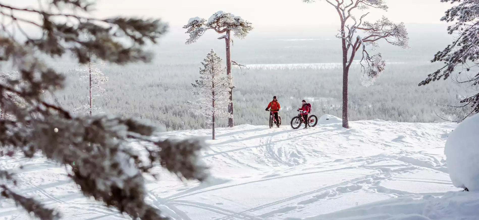 Sneeuwavontuur Kurula's