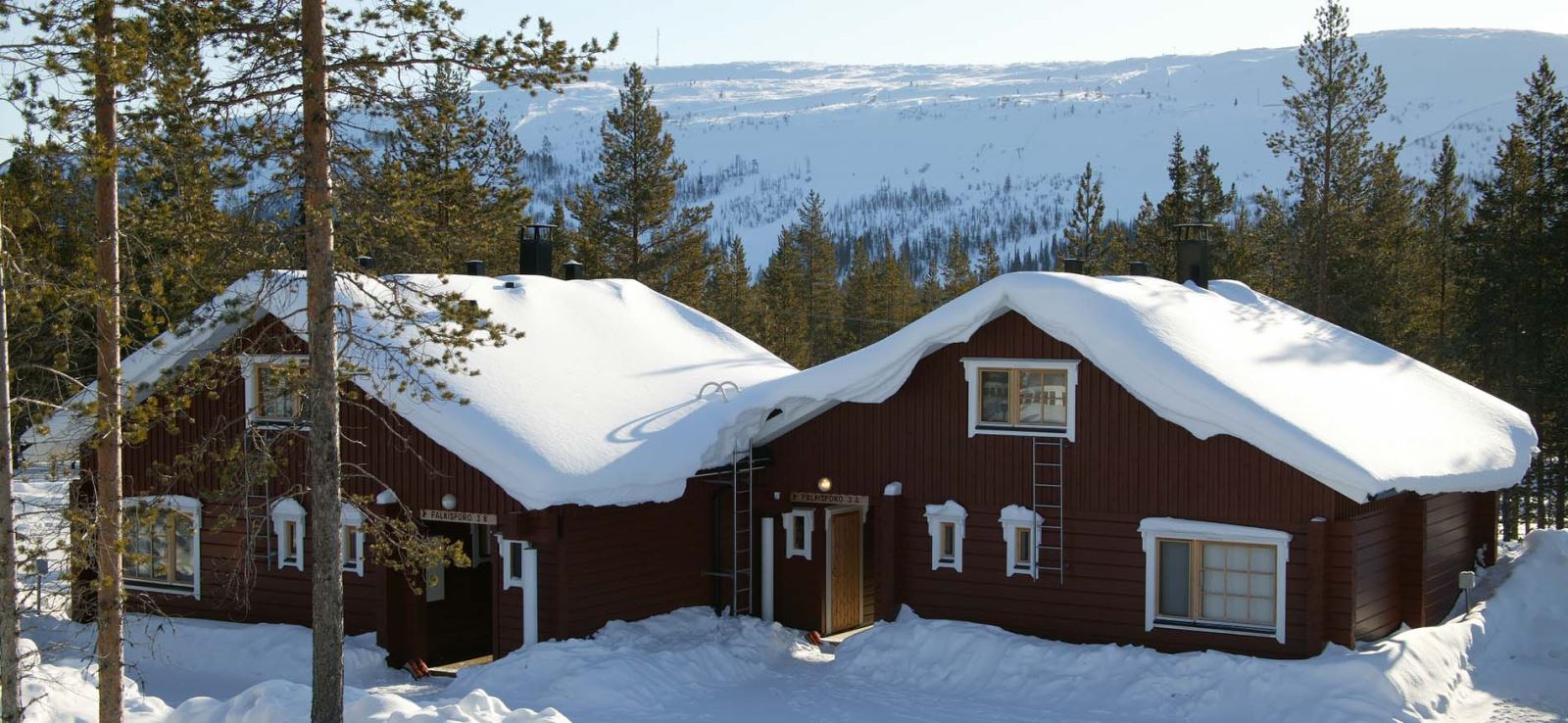 levi-bungalows-header2