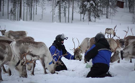 lapland weekend