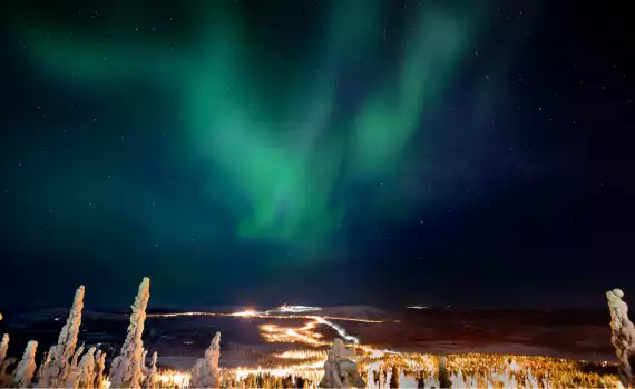 Midweek Aurora View Suites 
