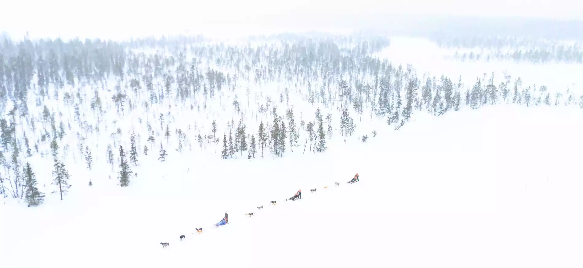 Husky- en sneeuwavontuur Best of Lapland