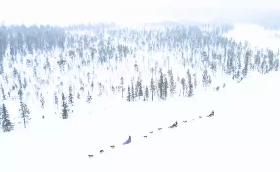 Husky- en sneeuwavontuur Best of Lapland