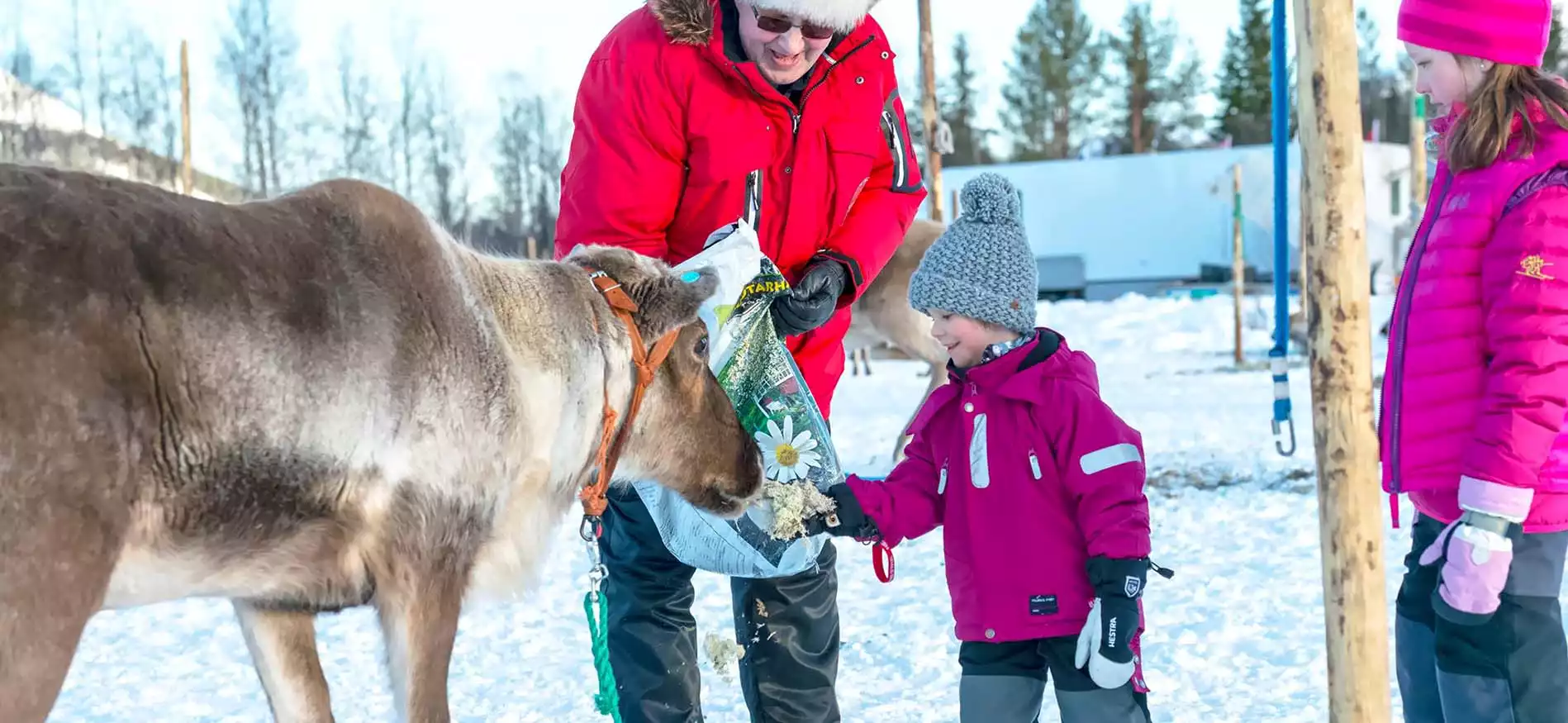 Sneeuwavontuur Tropiikki Kids