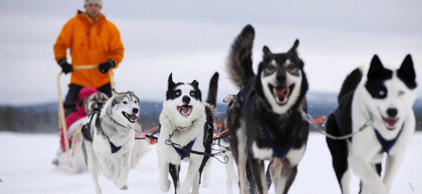 winterwonderlandweek-header