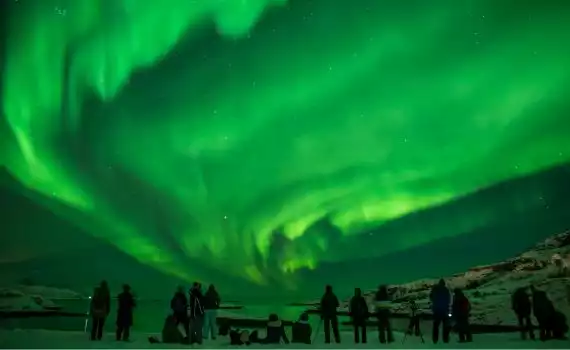 Noorderlichtreis Lapland en de fjorden