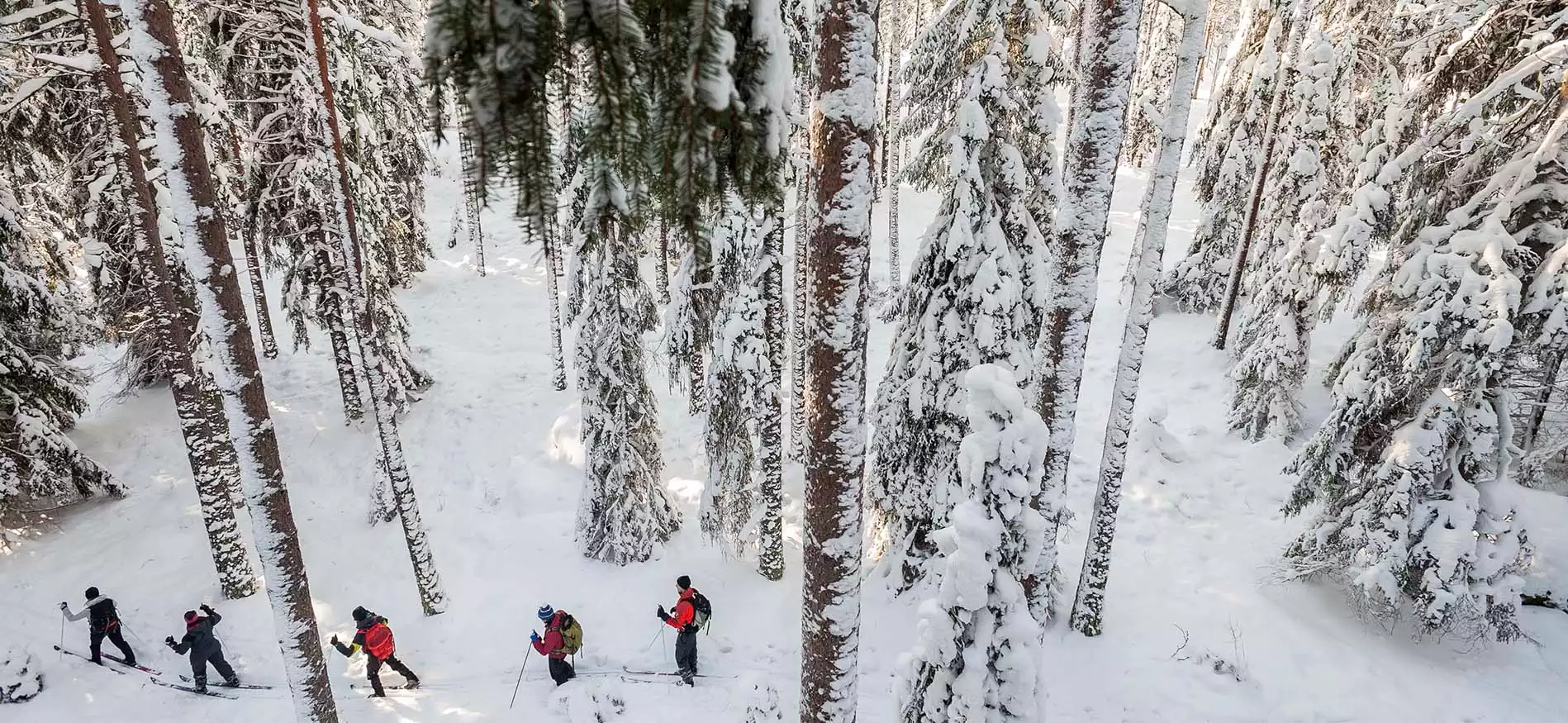 Husky- en sneeuwavontuur Lappeasuando