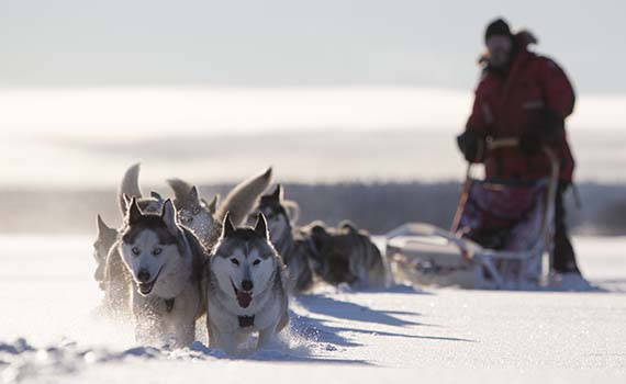 zweeds lapland weekend