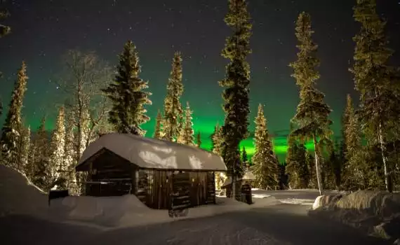 Noorderlichtevent Lapland "krokus"