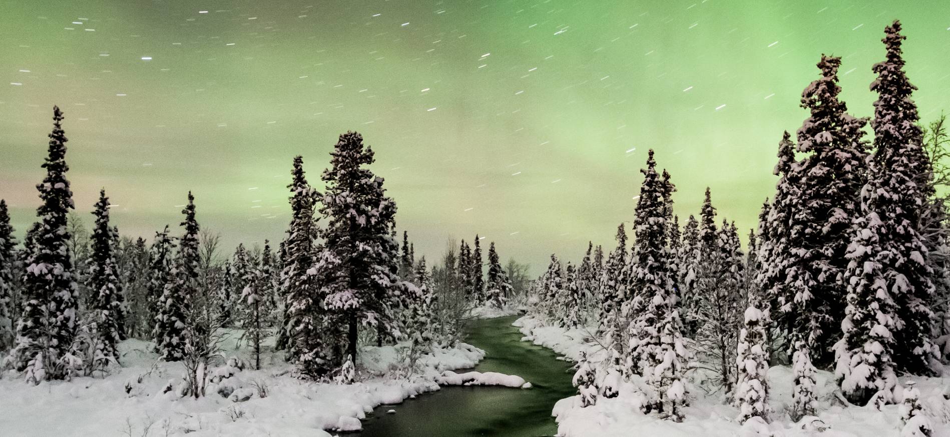 Midweek Granö Beckasin Lodge Zweden | Voigt Travel