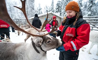incentives-lapland-info