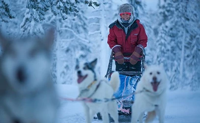 lapland-winterreizen