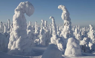 incentive-lapland-alle-reizen