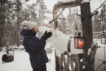 finland-lapland-winter-reindeer-kiss-levi-huskypark1