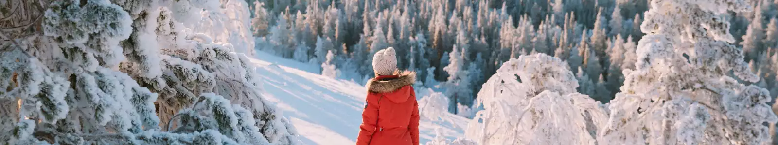 lapland-shortbreaks-header-2