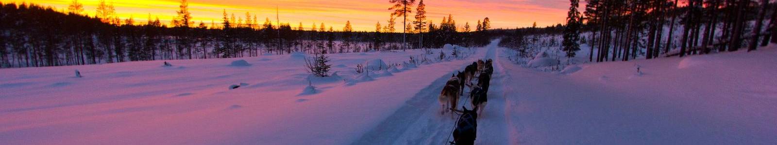 lycksele-header
