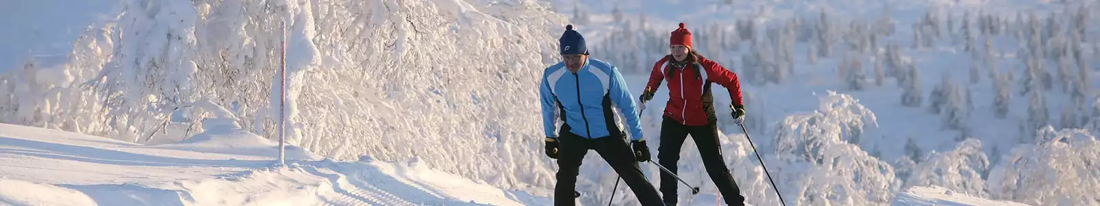 lapland-avontuur-saariselka-header